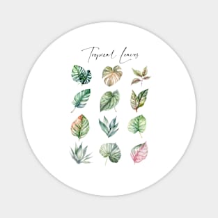 Tropical leaves Magnet